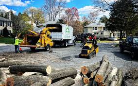 Best Tree Mulching  in Whitesburg, KY
