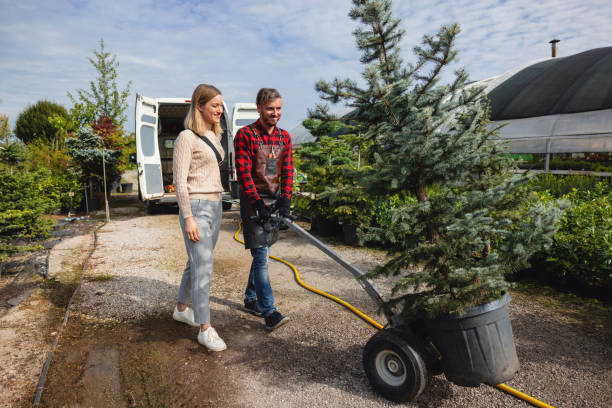 Best Lawn Disease Treatment  in Whitesburg, KY